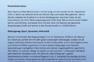 Ausformulierter Lebenslauf Beispiel PDF Muster