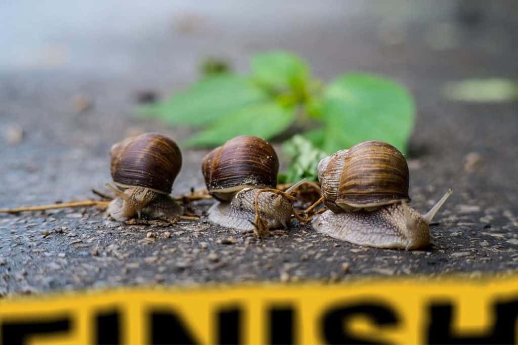 Tipps und Strategien für deine Bewerbung auf mehrere Stellen bei der gleichen Firma.