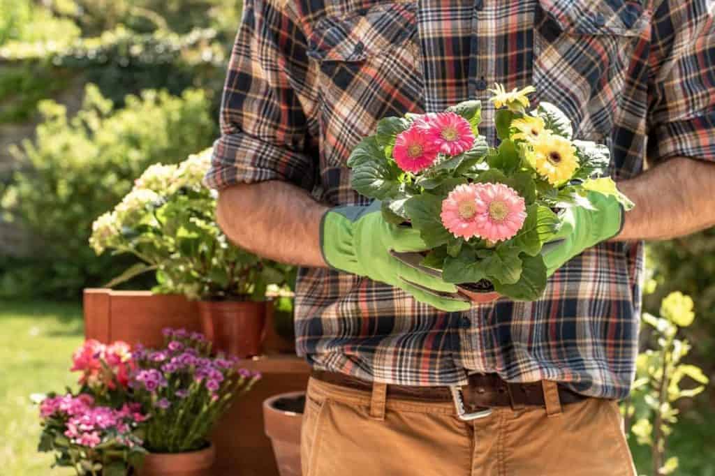 Bewerbung als Gärtner bzw. Gärtnerin: Muster + Tipps