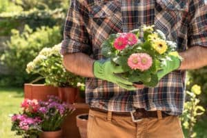 Bewerbung als Gärtner bzw. Gärtnerin: Muster + Tipps